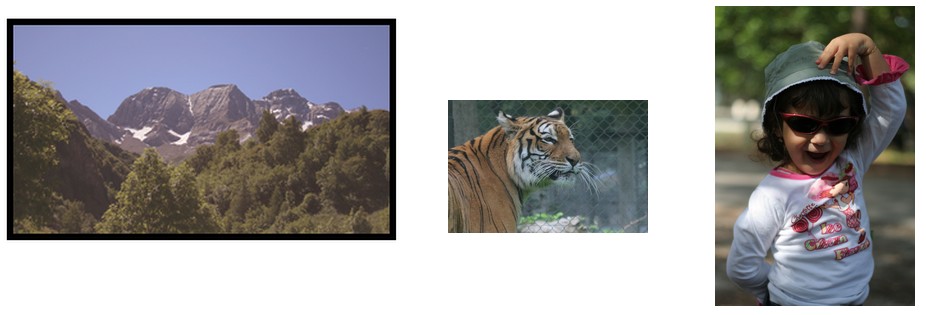 Paysages_Faunes_Portraits